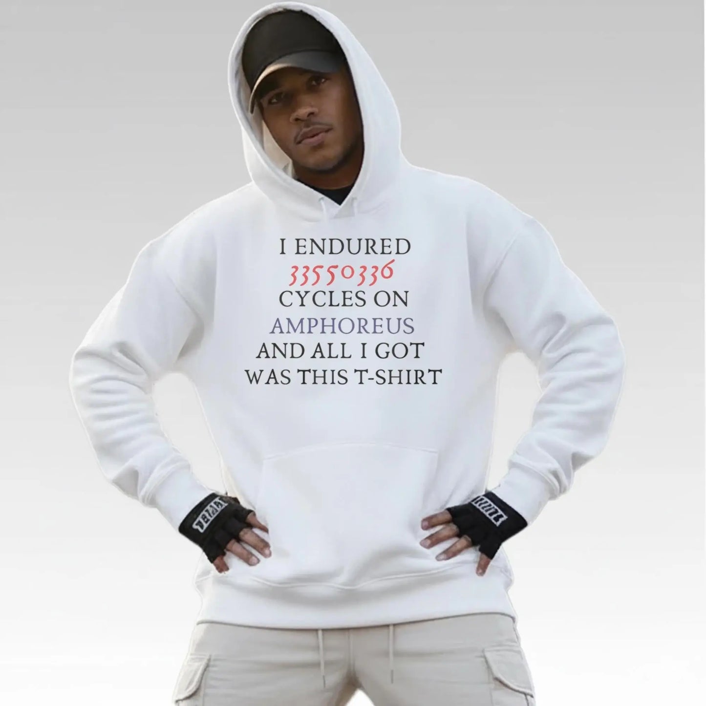 Joshua Waters I Endured 33550336 Cycles On Amphoreus And All I Got Was This Shirt - Bigfirefashion